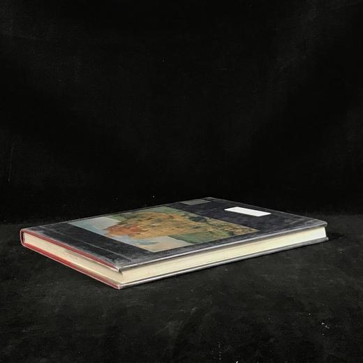 改变世界的绘画：从拉斯科到毕加索 199幅彩色55幅黑白插图 精装大16开 商品图2