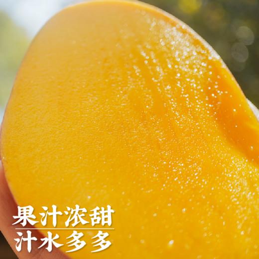 艾格吃饱了正宗海南红玉芒果新鲜采摘应季水果8斤 商品图2