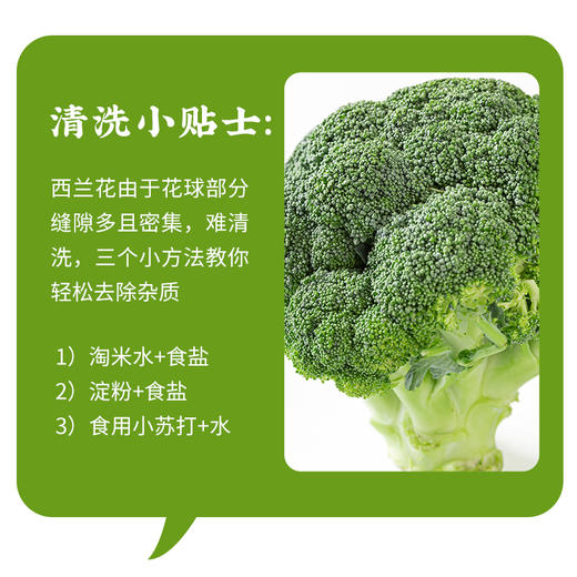新鲜蔬菜 西蓝花约600g 商品图2