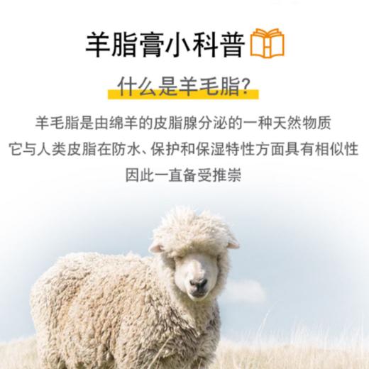 美德乐medela乳头膏哺乳期99.5%羊脂膏7g/37g乳头霜孕期防皲裂 商品图3