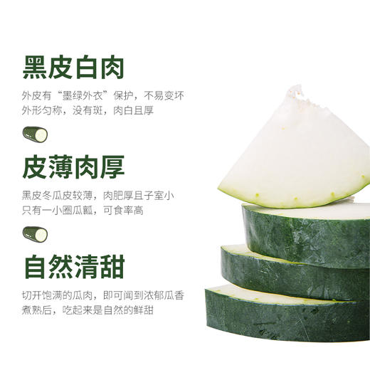 新鲜蔬菜  冬瓜1.5斤左右 商品图1