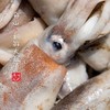 【闹妈海鲜】 [热气]舟山东海大鱿鱼 物美价廉，各种规格任选 商品缩略图2