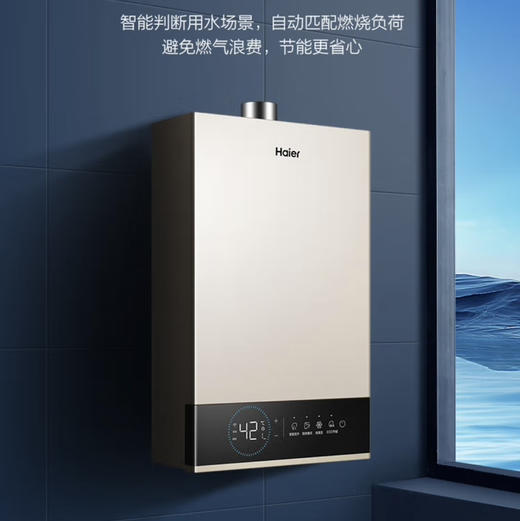 海尔（Haier）热水器 JSQ30-16JM6(12T)U1 商品图10