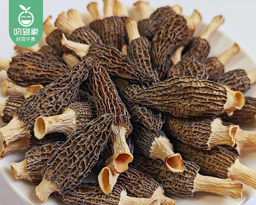 云南精选头茬小羊肚菌（干货3-6cm）/1包（约250g）生产日期：12月25日左右 商品图1