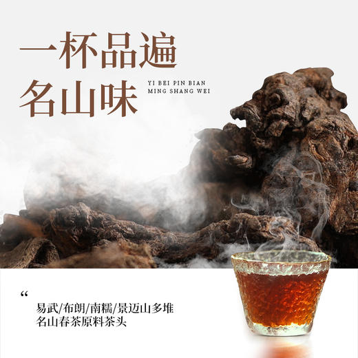 勐乐山普洱2023年陈年老窖老茶头150g 商品图5