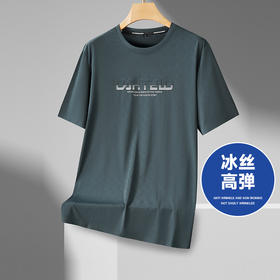 【冰丝高弹】【新款DPF】大依优型大码短袖T恤加肥加大男装大号大码上衣男士休闲半袖夏季