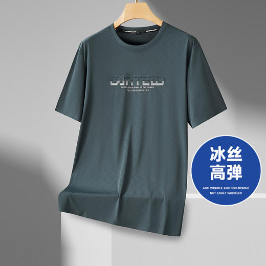 【冰丝高弹】【新款DPF】大依优型大码短袖T恤加肥加大男装大号大码上衣男士休闲半袖夏季 商品图0