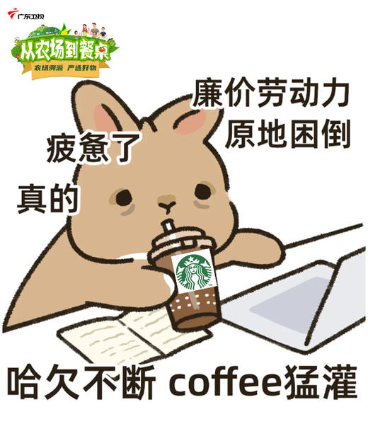 麻将秘籍 商品图0