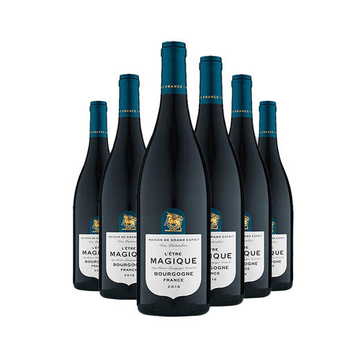 法国光之颂亿盛境系列勃艮第红葡萄酒750ml*6 商品图0