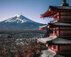 【小众优雅】 4月24日- 4月28日 |  日本东京富士山5日4晚 商品缩略图0
