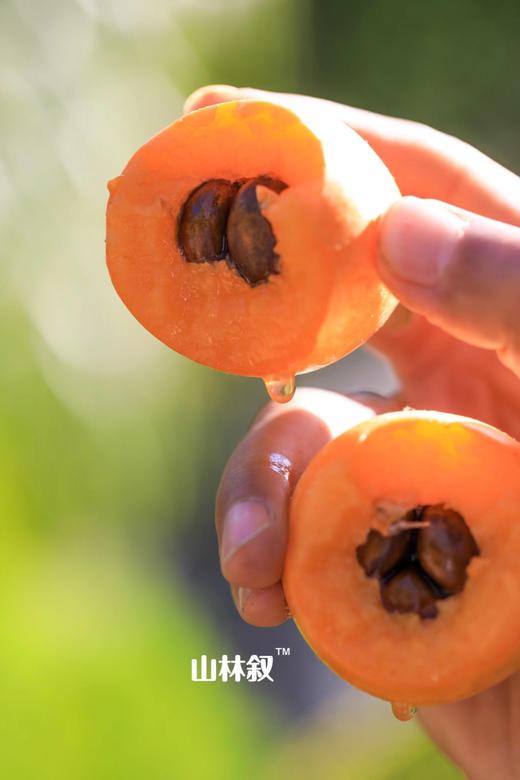 水润多汁｜十分熟蜜露枇杷💛 商品图2