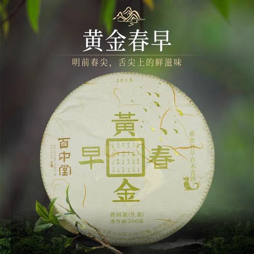 百中堂乔木大树 | 2018黄金春早（普洱生茶） 商品图4