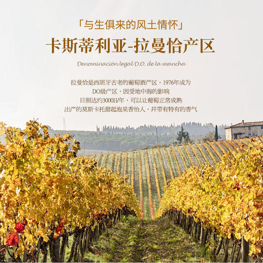 【5项金奖加持】富铂甜型起泡酒葡萄酒 西班牙拉曼恰法定产区 7%vol 商品图5
