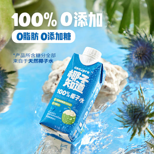 （椰汁+椰子水组合尝鲜装）【椰子水330ml*6+椰汁330ml*6】椰子知道 100%椰子水 0糖鲜椰汁330ml组合装 商品图8