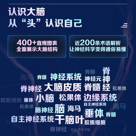 大脑之书  系统解读大脑工作原理 脑科学通识课 了解脑子 3磅宇宙的奇迹 神经脑科学 商品图2