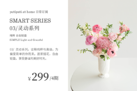 03 / 灵动系列 Smart Series