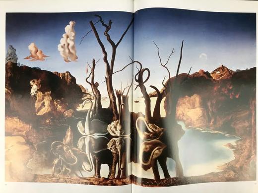 达利画集 数百幅彩色插图 精装大16开 商品图8