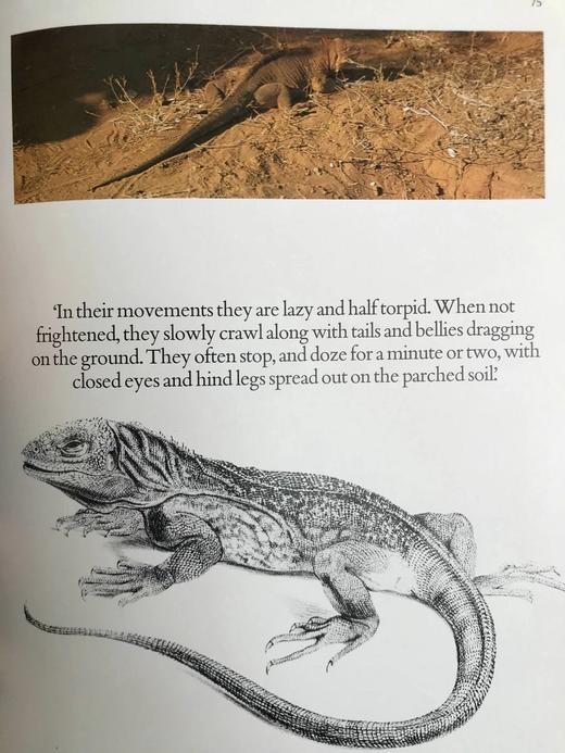 达尔文被遗忘的世界 189幅彩色插图 精装大16开 商品图13