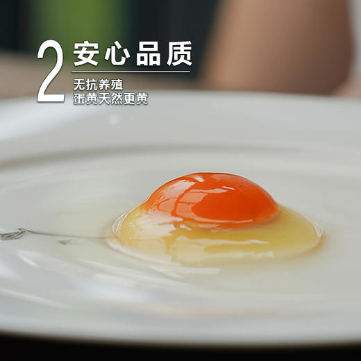 蛋鲜森 金奖肥西土鸡蛋30枚 1200g 商品图3