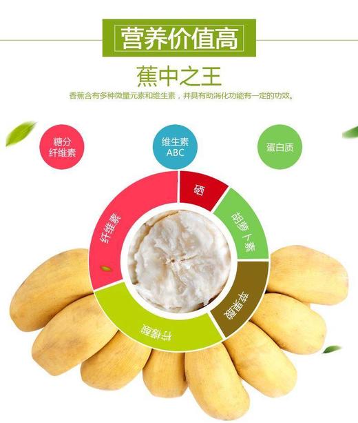 【福建小胖蕉】更香更甜更软糯更绵密，不催熟，不喷药，更不用担心保鲜剂-CC 商品图9