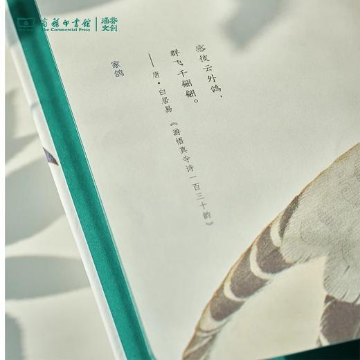 【商务印书馆涵芬文创】科普笔记本（1本） 商品图10