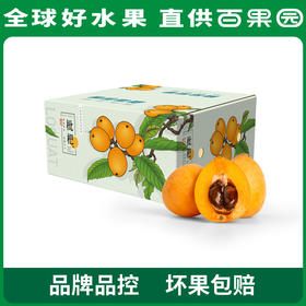 PAGODA百果园 米易枇杷（大）2斤彩箱装