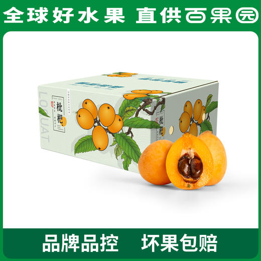 PAGODA百果园 米易枇杷（大）2斤彩箱装 商品图0