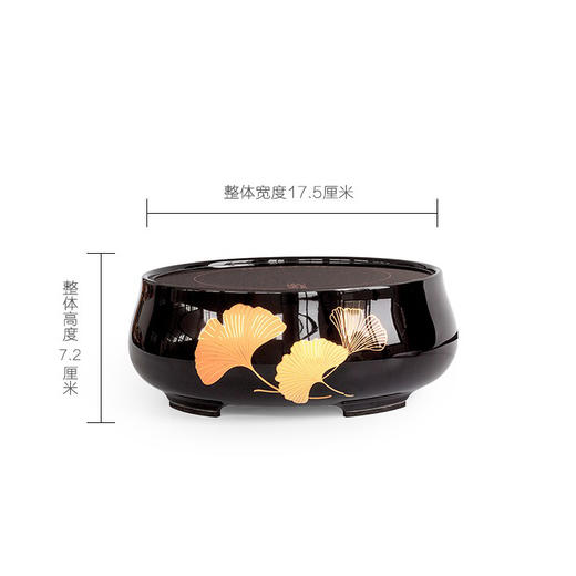 【厂家直发】龙隐斋 有杏电陶炉家用功夫茶具烧水煮茶炉小型静音电茶炉泡茶专用茶炉 商品图2