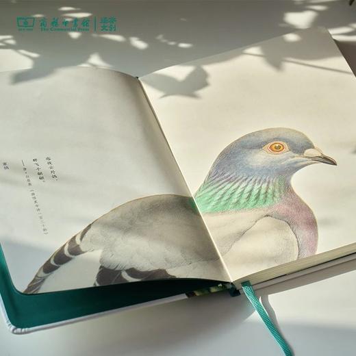 【商务印书馆涵芬文创】科普笔记本（1本） 商品图7