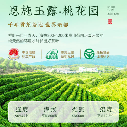 2024新茶恩施玉露早春明前特级优选 高山富硒绿茶罐装100g CM 商品图6