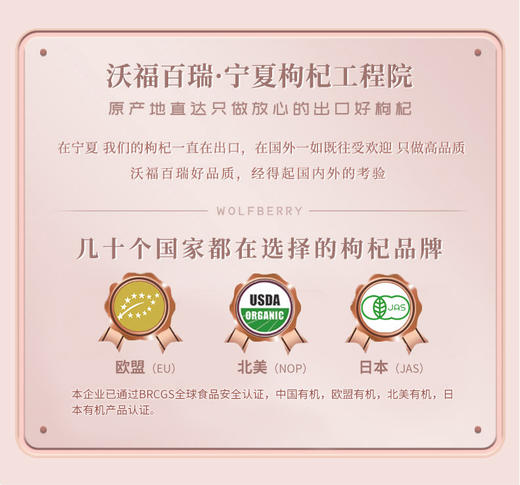 沃福百瑞红参枸杞饮品 商品图14