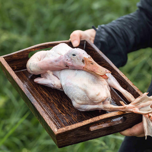 蛋鲜森 巢湖仔麻鸭 1只装/2只装 商品图4