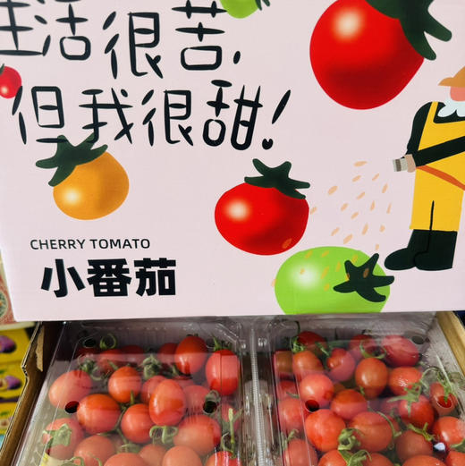 玲珑千禧小番茄，肉厚皮薄，咬一口，清甜的果汁马上喷涌而出。浓郁原始又清爽的番茄滋味爽口又怡人～好吃！停不下来！ 商品图2