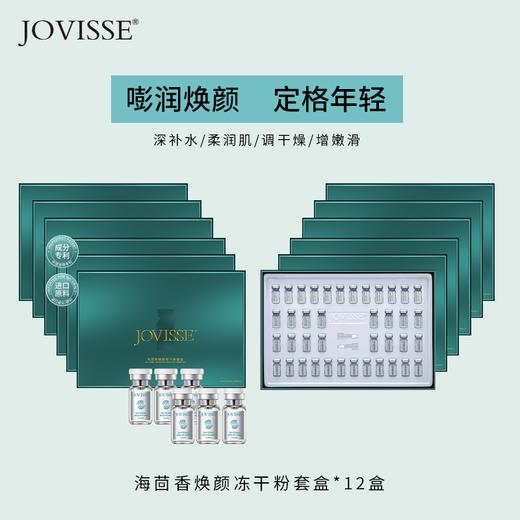 （12盒超值囤货版）JOVISSE海茴香焕颜冻干粉套装*12盒 商品图0