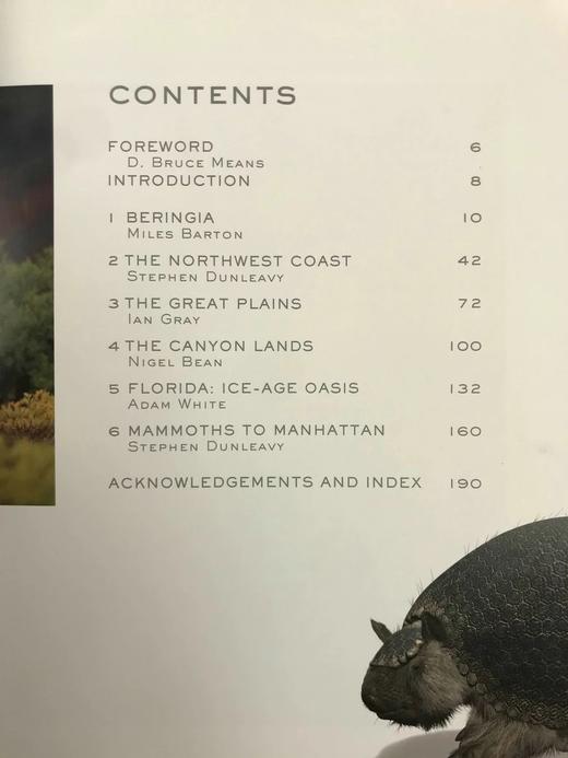 史前美国：穿越冰河时代及其后的旅程 约百幅插图 精装16开 商品图5