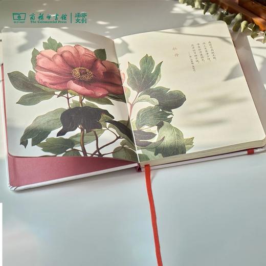 【商务印书馆涵芬文创】科普笔记本（1本） 商品图2