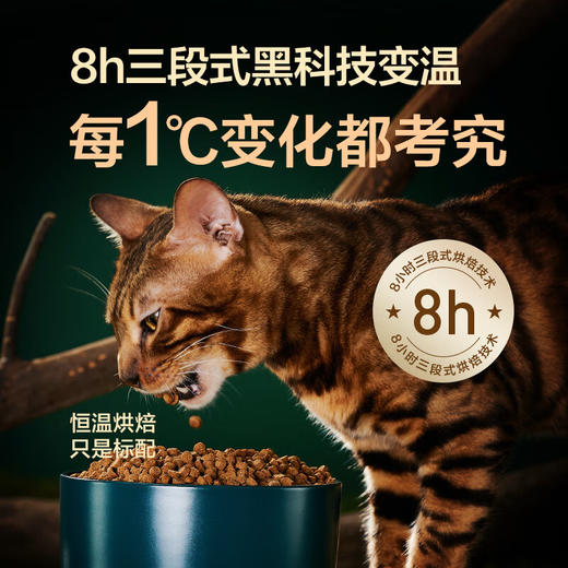 网易天成 全期猫粮低温烘焙猫干粮高鲜肉含量成猫幼猫全价烘焙猫粮 1.8kg【保质期到25.2.21】 商品图2