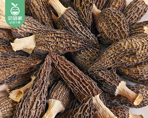 云南精选头茬小羊肚菌（干货3-6cm）/1包（约250g）生产日期：12月25日左右 商品图5