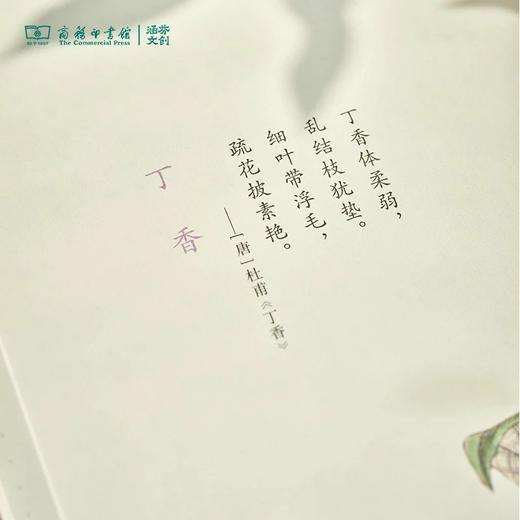 【商务印书馆涵芬文创】科普笔记本（1本） 商品图3