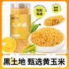 【粗粮首选】袋鼠小布黄糯玉米碴子800g/ 罐 熬粥佳品即食速烹口感糯滑 商品缩略图0