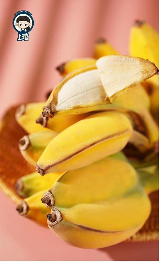 【福建小胖蕉】更香更甜更软糯更绵密，不催熟，不喷药，更不用担心保鲜剂-CC 商品图8