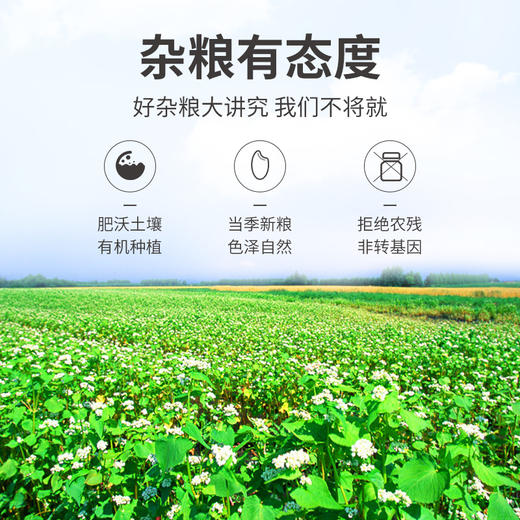 有机荞麦米450g/米砖 商品图8