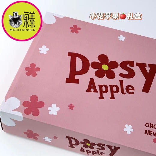 礼盒💝新西兰🇳🇿小花火箭苹果5桶×5枚 商品图5