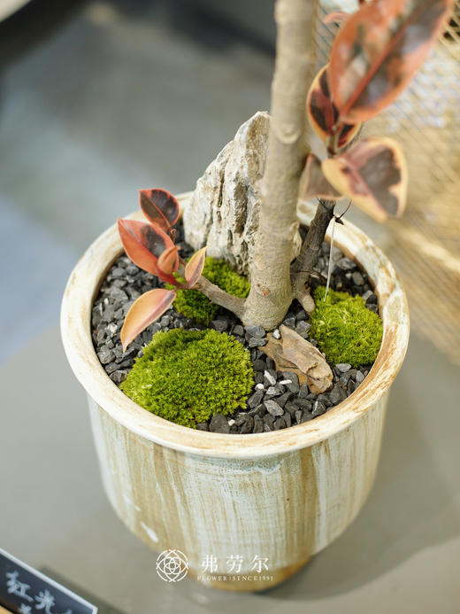 红关公 商品图1