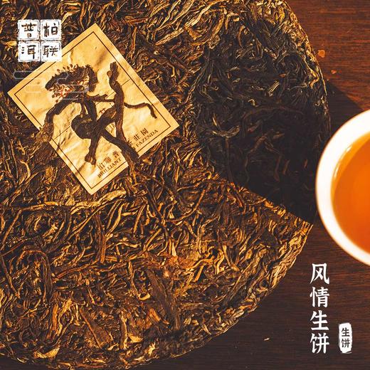 柏联普洱 中期茶 10年以上 风情 生茶 饼茶 紧压茶357g 商品图4