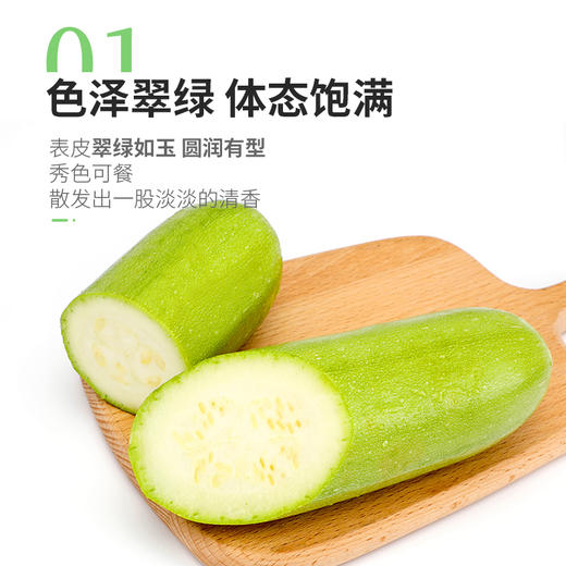 新鲜蔬菜  西葫芦3斤 商品图1