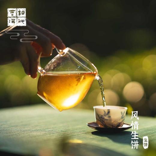 柏联普洱 中期茶 10年以上 风情 生茶 饼茶 紧压茶357g 商品图2