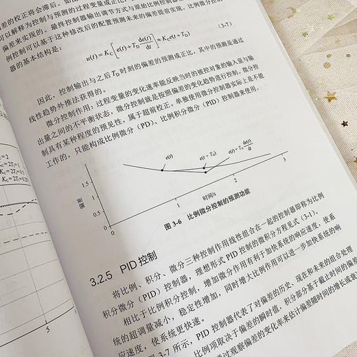 PID参数整定与复杂控制 商品图6