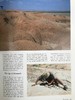 美国自然历史博物馆：125年探险与发现 248幅插图（90幅彩色） 精装大16开 商品缩略图10