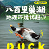 蛋鲜森 巢湖仔麻鸭 1只装/2只装 商品缩略图3